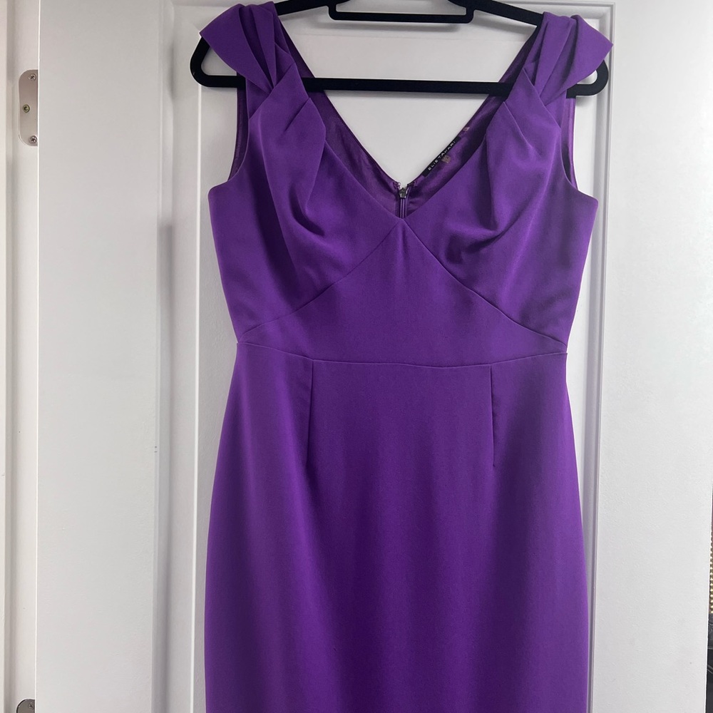 Elegant Elie Tahari dress